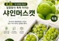 프로프룻 샤인머스켓 2kg