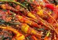 Yeosu Dolsan Godeulppaegi Kimchi 1kg