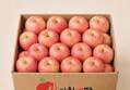 Gyeongbuk Hongro Apple 2 kg 1 box