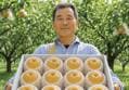 Fresh Naju Pear 5kg 1 Box