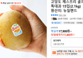 제스프리 골드키위 특대과 15입