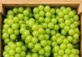 Songgane Shine Muscat Grape 3kg 6pcs