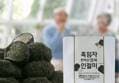 정가네 흑임자 한라산 참쑥 인절미 100개