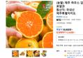Jeju Greenhouse Tangerine 2kg Royal