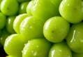 샤인머스캣 특품 2kg
