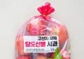 고산지 재배 당도선별 사과