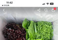 유러피안 샐러드 1kg 1박스