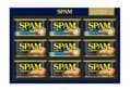 스팸 8C호 선물세트