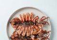 구룡포 반건조 오징어 500g 10마리