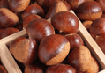 공주 햇밤 특품 2kg 1박스
