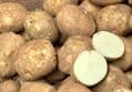Seolbaek Sumi Mixed Early Potatoes 5kg, 1 Box