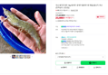 국산 흰다리새우 1kg 왕새우