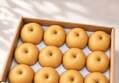 Farm-Direct Seasonal New-Harvest Pears 5kg Box