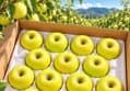 Prof Fruit Shinano Gold 3kg Box