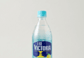 Woongjin Food The Victoria 500ml x 40