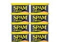SPAM Classic 340g