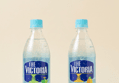 The Victoria Grape & Pineapple 500ml x40