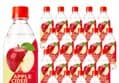 시그너스 애사비소다 오리지널 500ml 20개