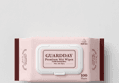 Guard Day Premium Wet Wipes 100 Sheets x 20 Packs