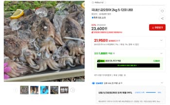 국내산 갑오징어 2kg