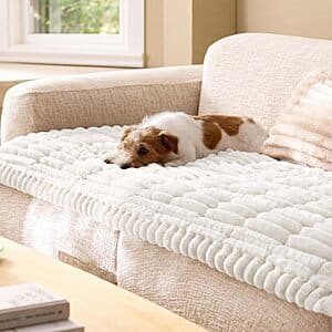 Bedsure ComfyFleece Sofa