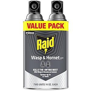 Raid Wasp & Hornet Killer