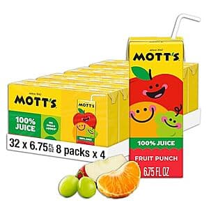 Mott's Fruit Punch Juice