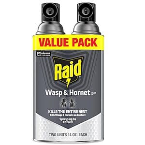 Raid Wasp & Hornet Killer
