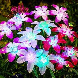 Ahaorigin Solar Lily Flower