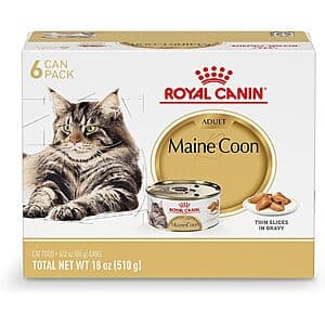 Royal Canin 캣푸드 50% 할인