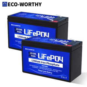 ECO-WORTHY LiFePO4 2팩
