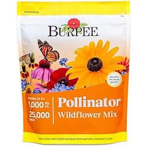 Burpee Wildflower 씨앗