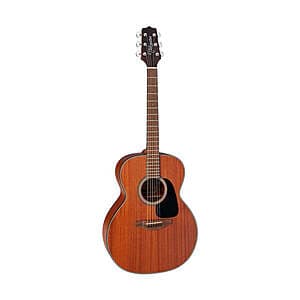 ESP·Takamine 기타