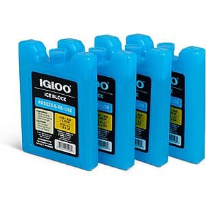 Igloo Maxcold Ice Block