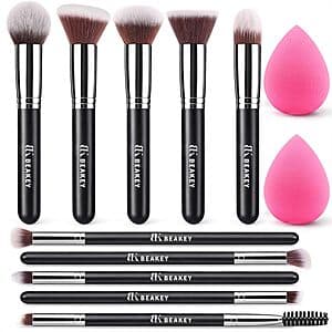 BEAKEY 12pc 브러시 세트