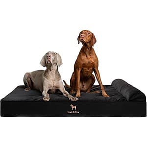 NOAH & PAW XXL Dog Bed