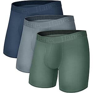 Hanes Viscose Bamboo Briefs