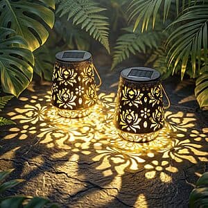 Edenseelake Solar Flower